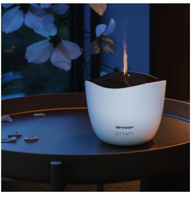 Ultrazvukový aroma difuzér Rose Gold