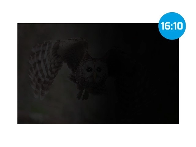 Filtr ochrany osobních údajů Natec Owl 16 palců 16:10