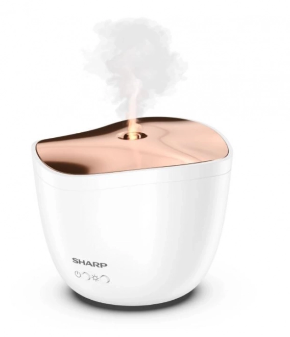 Ultrazvukový aroma difuzér Rose Gold