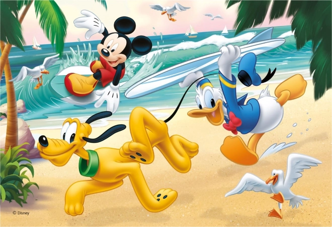 WD Mickey sportuje 2x77D