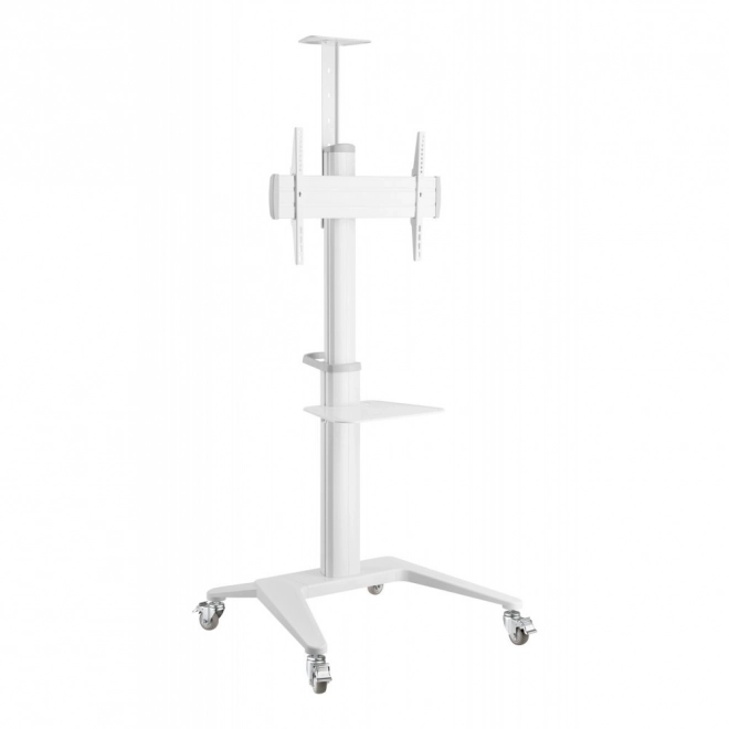 Pojízdný televizní stojan pro 32-70 palců 70 kg bílý