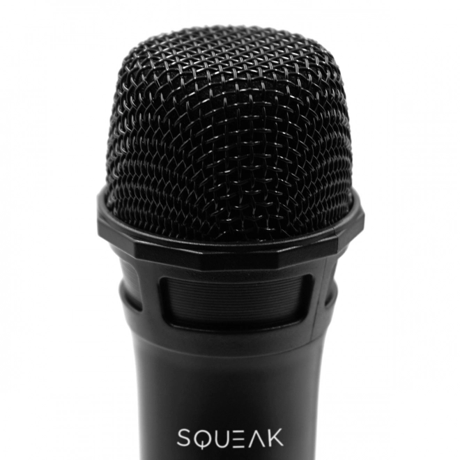 Sada mikrofonů pro karaoke VocalDuo s 30m dosahem