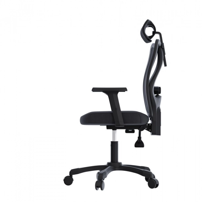 Ergonomické kancelářské křeslo Onyx
