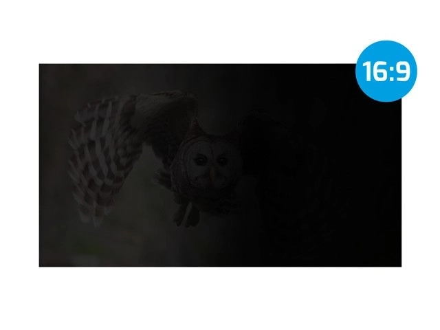 Filtr ochrany osobních údajů RODO Owl 21,5" 16:9