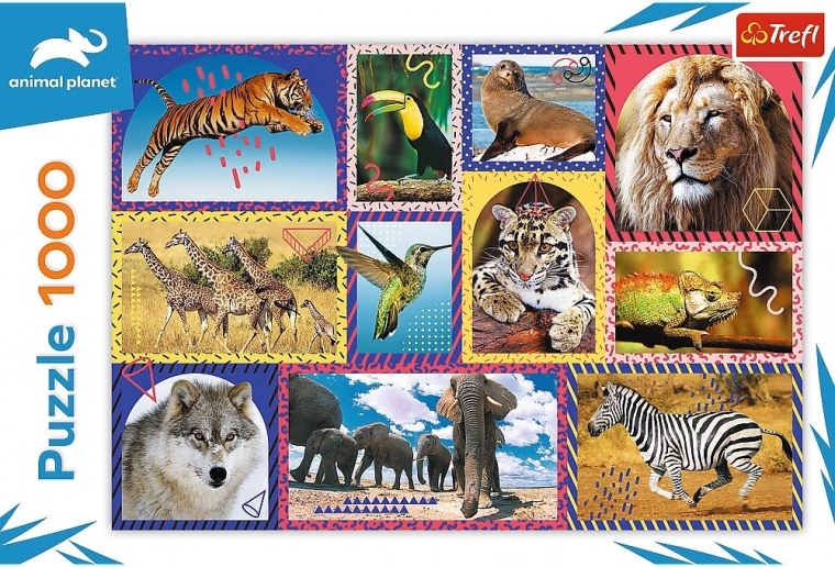 1000 dílků pro příjemnou výzvu