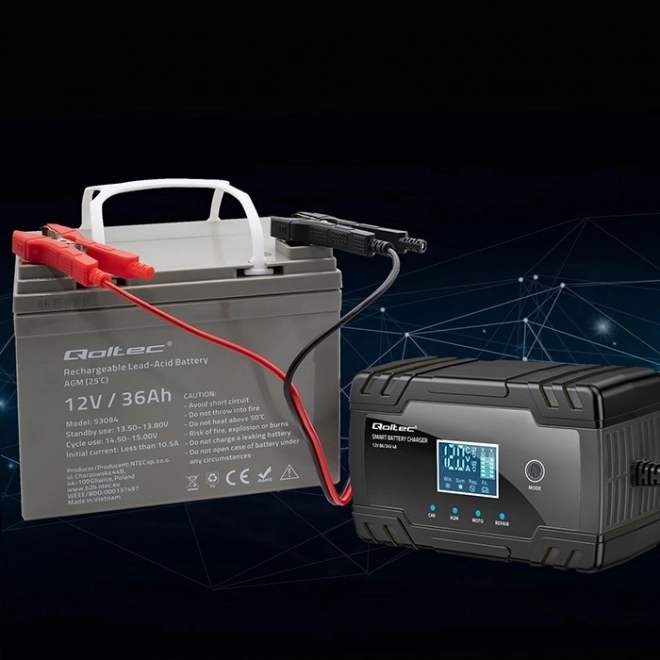 Inteligentní nabíječka autobaterií 12V/24V s funkcí opravy