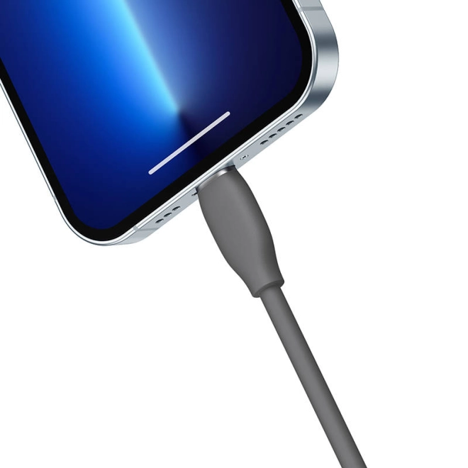 Rychlé nabíjení 2,4 A pro zařízení Apple