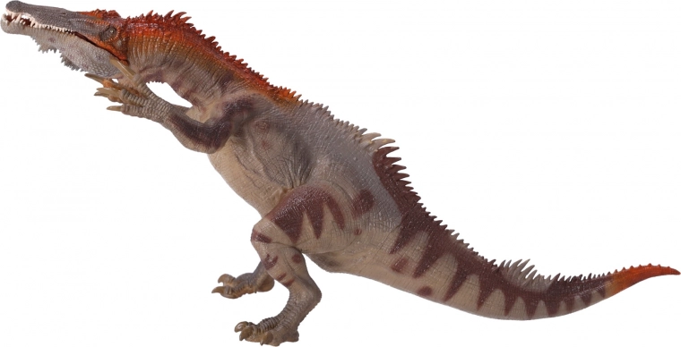 Vhodná pro sběratele