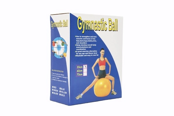 Gymnastický míč - 55 cm