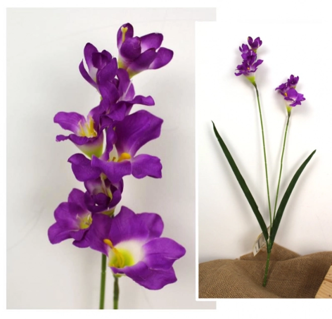 Fialová frezie 56 cm se dvěma stonky