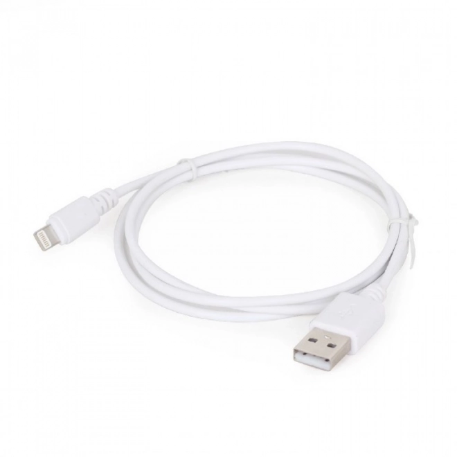 Speciální kabel USB pro iPhone 5 a 6/2m