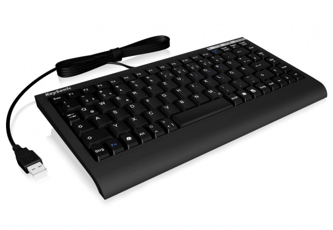 Klávesnice ACK-595C+ (US) PS/2+USB, americké rozložení