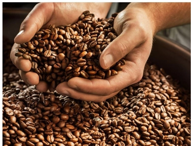 Barista Cafe Crema zrnková káva 1000g