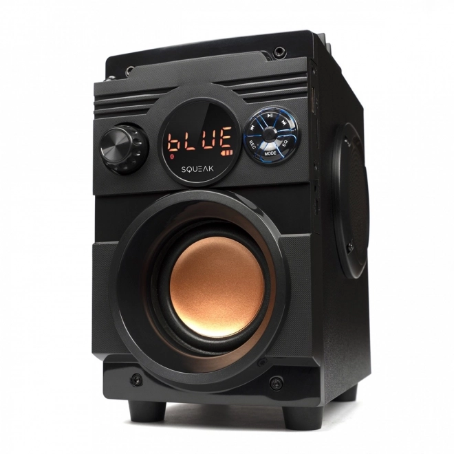 Bluetooth 5.1 reproduktor BassBlaster SQ1001 18W