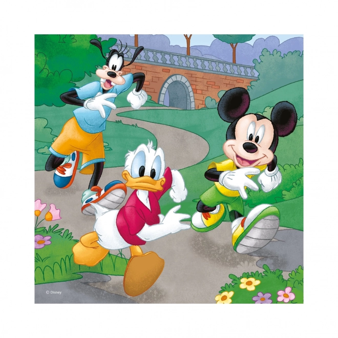 WD Mickey a Minnie sportovci 3x55D