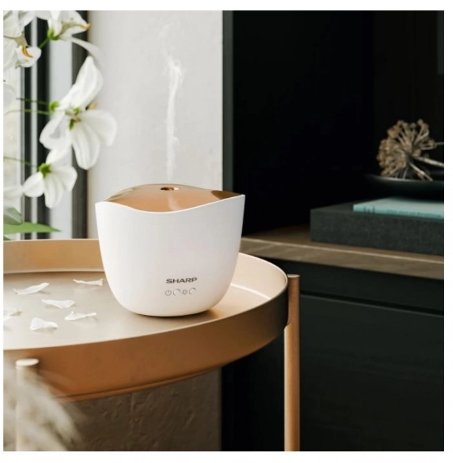 Ultrazvukový aroma difuzér Rose Gold