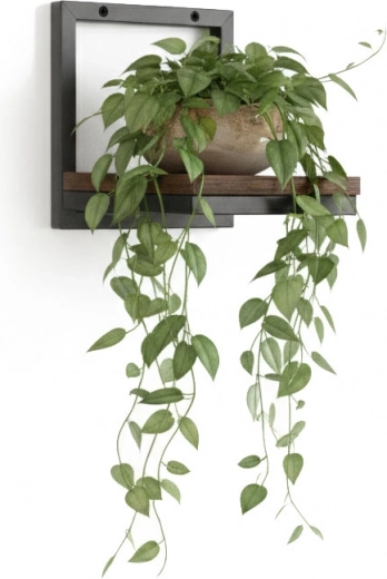 Praktické vystavení rostlin a úspora místa