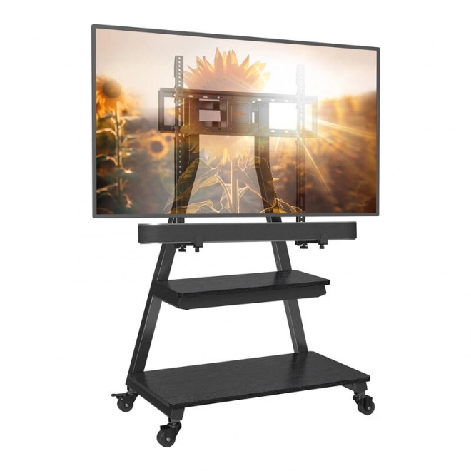 Podlahový TV držák Perlegear pro 43-80'' TV