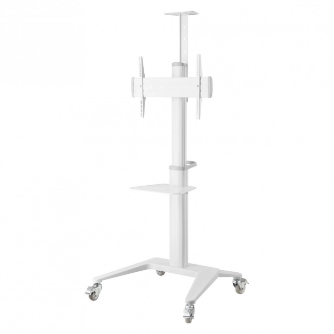 Pojízdný televizní stojan pro 32-70 palců 70 kg bílý