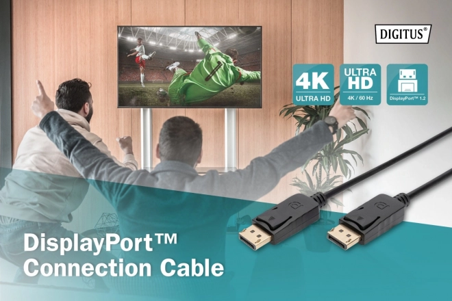 Propojovací kabel DisplayPort se západkami 4K 60Hz UHD Typ DP/DP M/M černý 3m