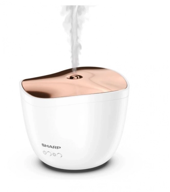 Ultrazvukový aroma difuzér Rose Gold