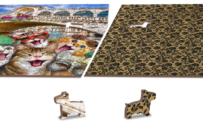 Oboustranné puzzle 2v1
