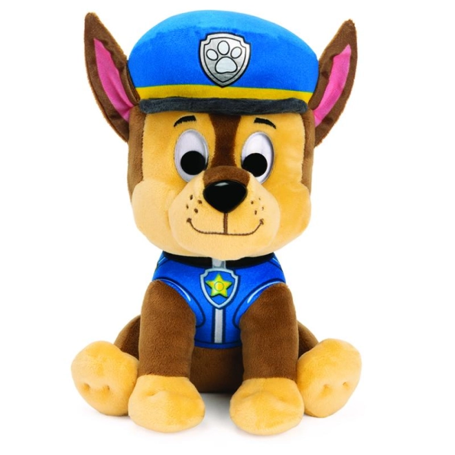 Detailní policejní uniforma