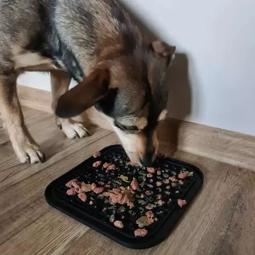 Masáž dásní a pomalejší krmení