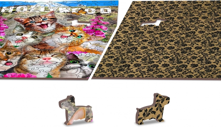 Oboustranné puzzle 2v1