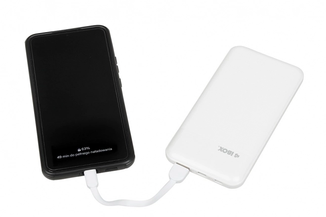 Powerbanka PB10 Power Delivery 10 000 mAh