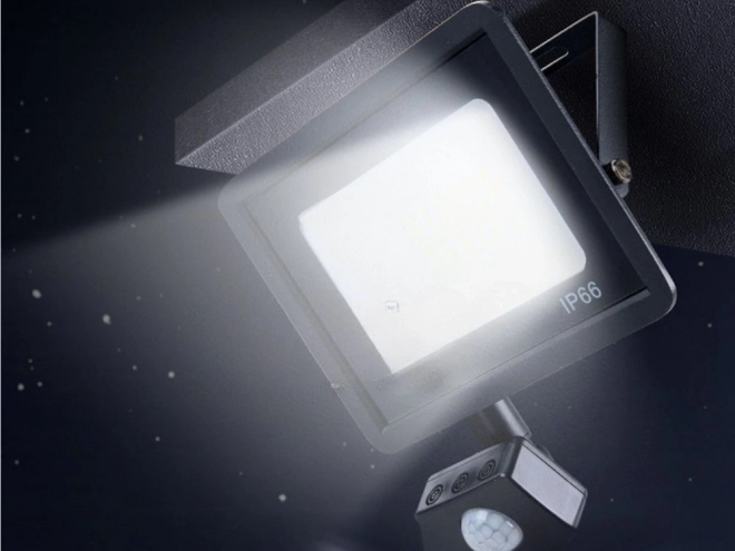 Venkovní LED Reflektor 30W s Pohybovým a Soumrakovým Senzorem IP66
