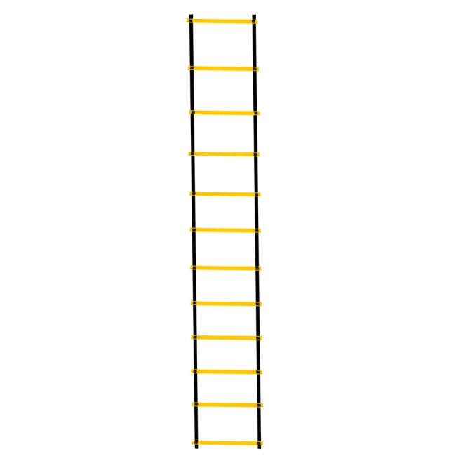 Praktické agility žebra