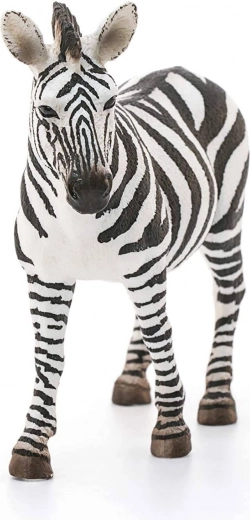 Ideální pro sbírky i vzdělávání