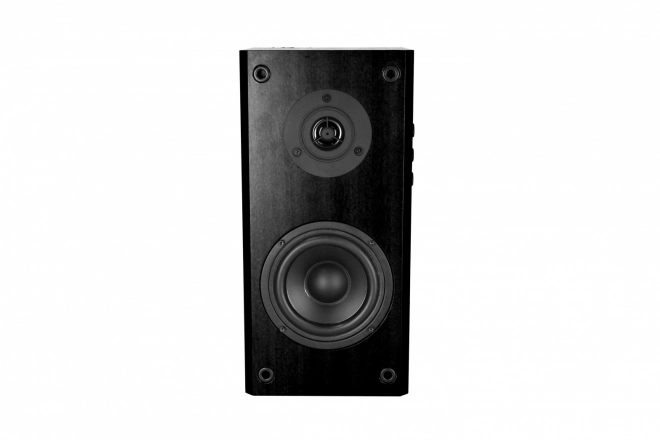 AUDIENCE HQ MT3143K Dřevěná skříň/Dvoucestné reproduktory/Regulace hlasitosti, basů, výšek/RMS 40W(2x20W)
