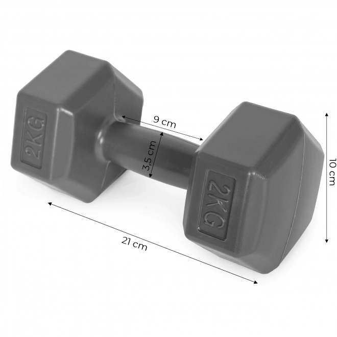 Hexagonální činky ModernHome 2x2 kg šedé