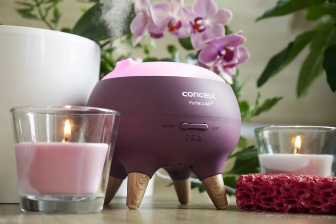 Aromatický difuzér Concept Perfect Air Berry