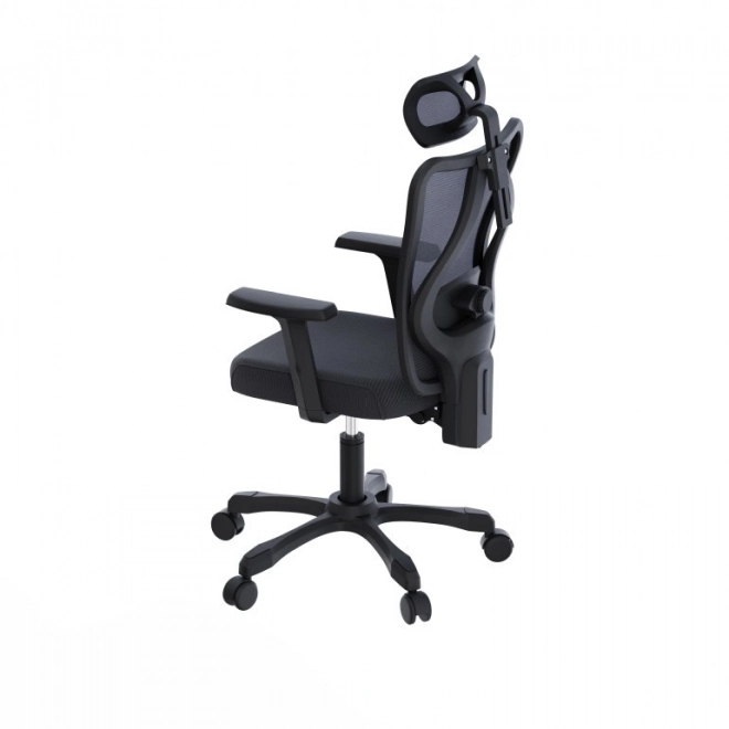 Ergonomické kancelářské křeslo Onyx
