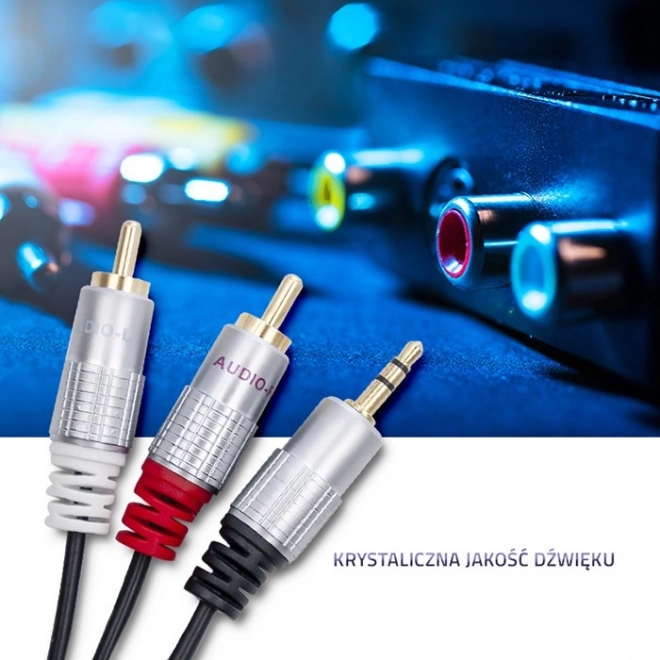 Kabel 2xRCA / Mini Jack 3,5 mm | 3 m | černý