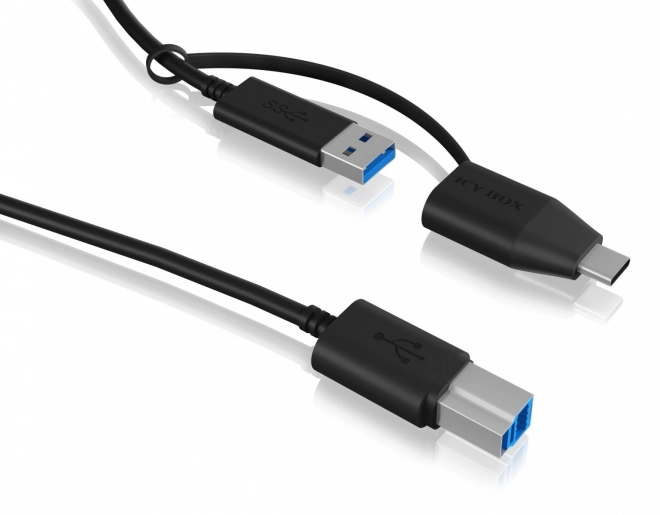 Dokovací stanice IB-1124L-C31 1xSATA III SSD/HDD, USB 3.0TYPE-C/TYPE-A