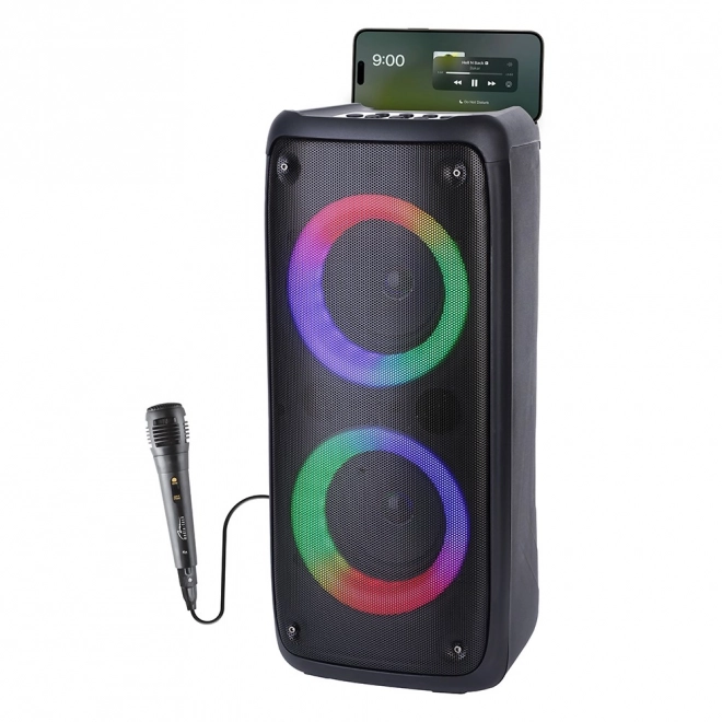 FUNBOX BT Speaker MT3181 Bluetooth 5.0/TWS/MP3/MicroSD/USB/AUX/Equalizer/Jack 6.3/RGB/USB-C/ RMS 40W/PMPO 1000W