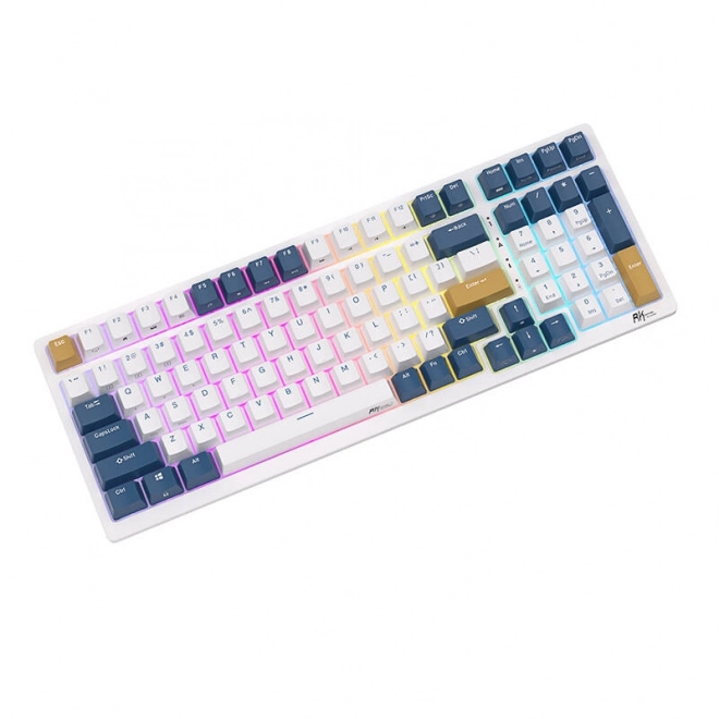 Mechanická klávesnice Royal Kludge RK98 RGB, červené spínače (modrá)