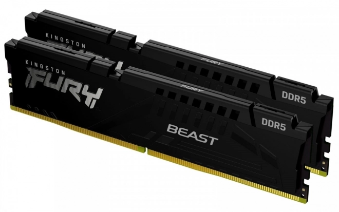 Paměť DDR5 Fury Beast Black 16GB(2* 8GB)/6000 CL36 EXPO