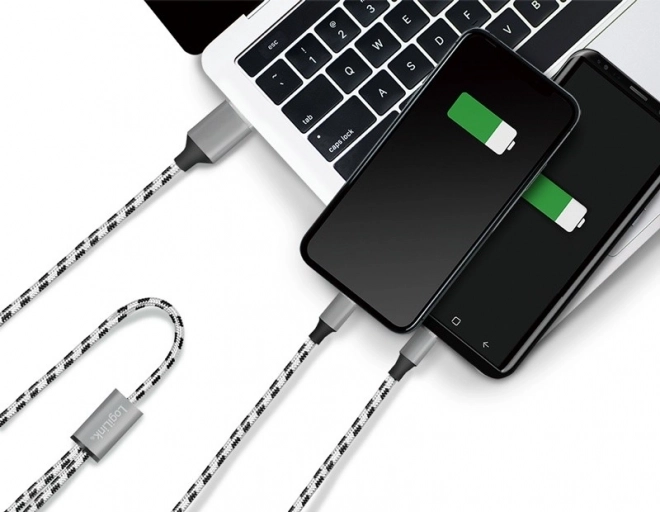 Univerzální nabíjecí a datový kabel USB 2.0 s Micro USB a USB-C