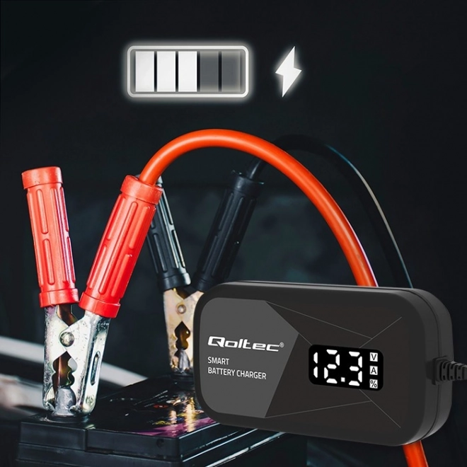 Inteligentní mikroprocesorová nabíječka 12V 2A