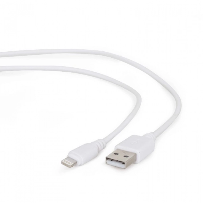 Speciální kabel USB pro iPhone 5 a 6/2m