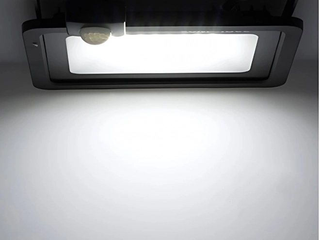 Venkovní LED Reflektor 30W s Pohybovým a Soumrakovým Senzorem IP66
