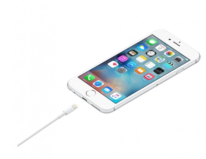 Kabel z konektoru Lightning do konektoru USB (1 m)