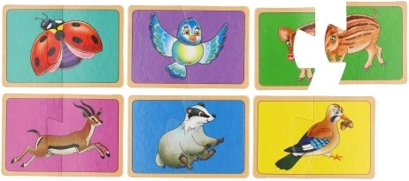 Zábavné učení o lese