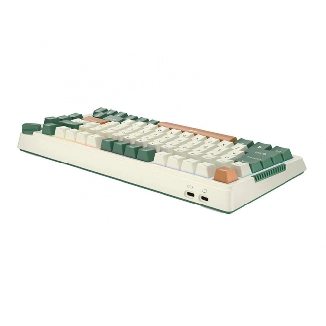 Bezdrátová mechanická klávesnice Royal Kludge RKH81 RGB, Sky cyan switch (zelený)