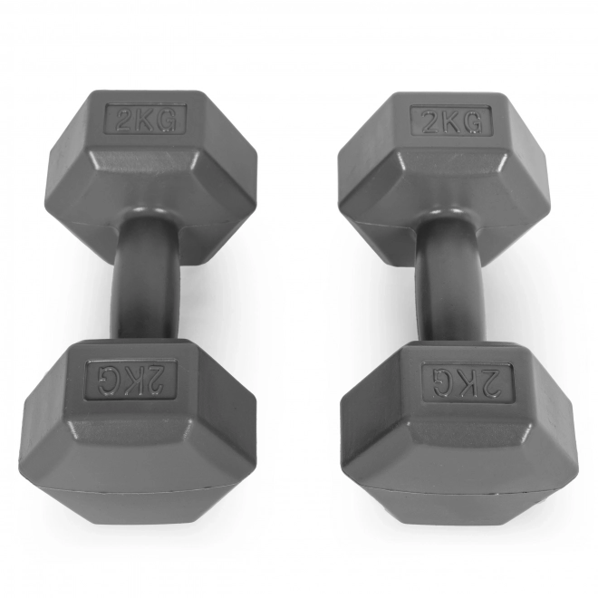 Hexagonální činky ModernHome 2x2 kg šedé